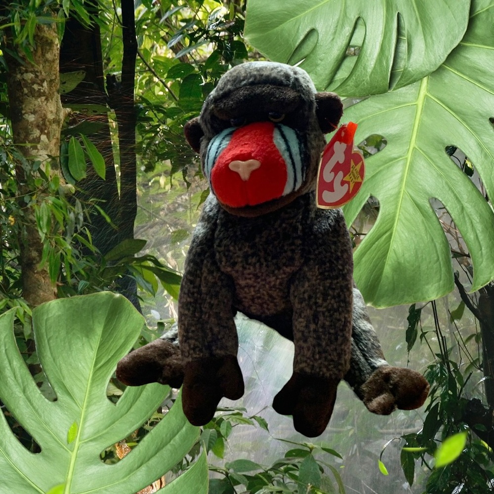 TY Beanie Baby - CHEEKS the Baboon (6 inch) - MWMT's Stuffed Animal Toy